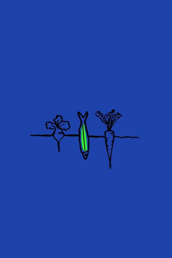 illustrations bretonnes bleu et vert - identité visuelle pozitiv'